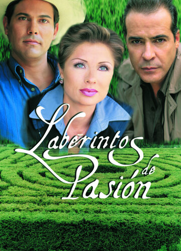 Лабиринты страсти (1999)